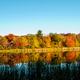 Illustration for article titled 48 Photos Of Autumn Around The World